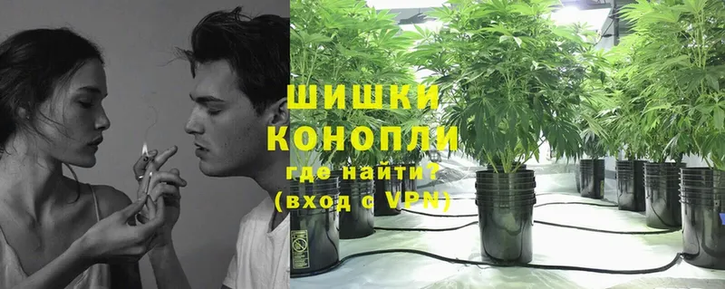 Продажа наркотиков Каменка Канабис  COCAIN  СОЛЬ  Меф 